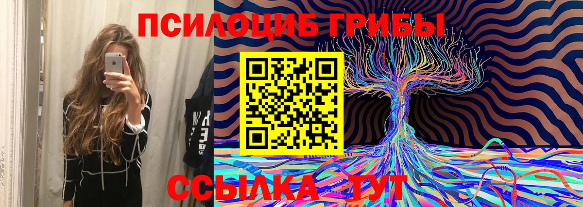 Галлюциногенные грибы MAGIC MUSHROOMS Гусь-Хрустальный