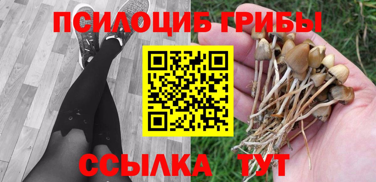 Галлюциногенные грибы прущие грибы  Гусь-Хрустальный 